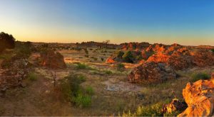 Mashatu Game Reserve