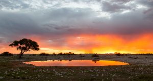 waterhole