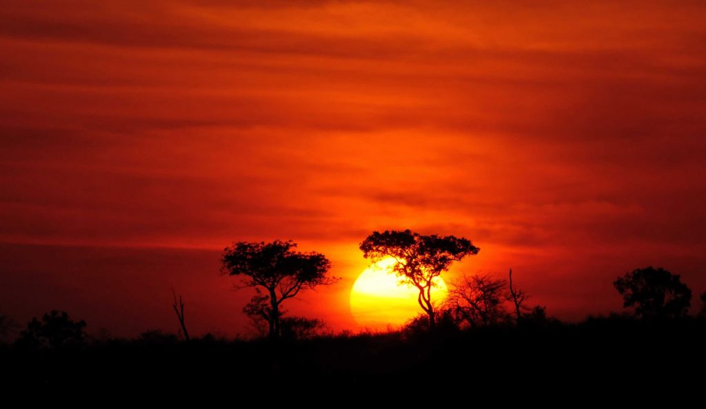 Alba Kruger Park