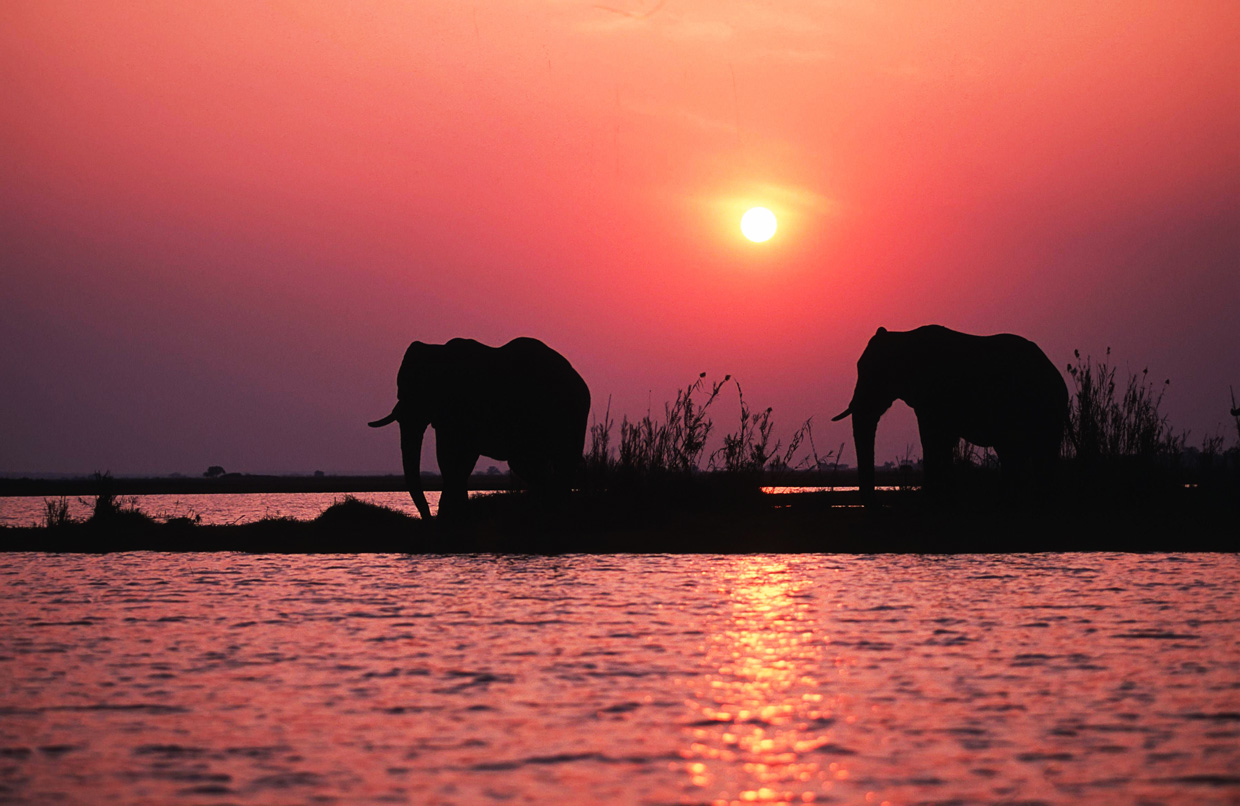 Botswana-Okavango-Delta-Tramonto Botswana Delta Okavango