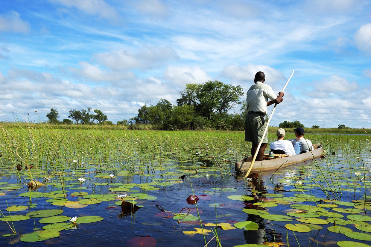 Botswana-Okavango-delta-Mokoro Botswana Delta Okavango