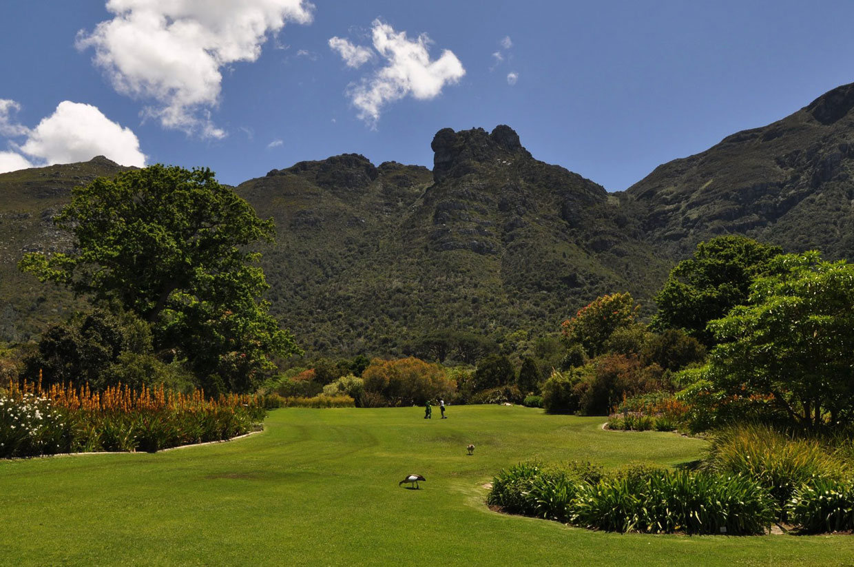 Cape-Town-Kirstenbosch-Botanical Cape Town Kirstenbosch