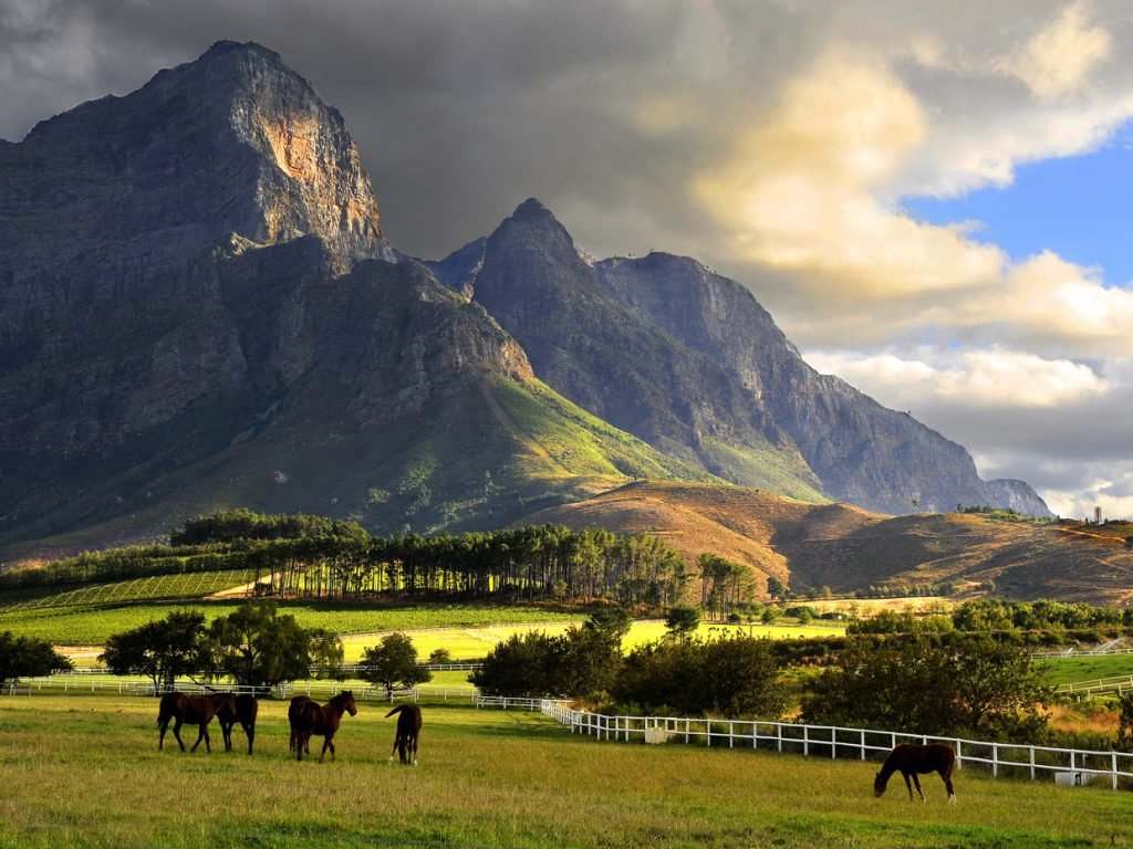 Franschhoek fattorie