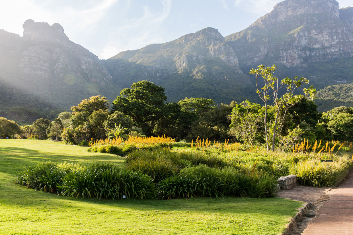 Kirstenbosch-National-Botanical-Garden Cape Town Kirstenbosch Garden