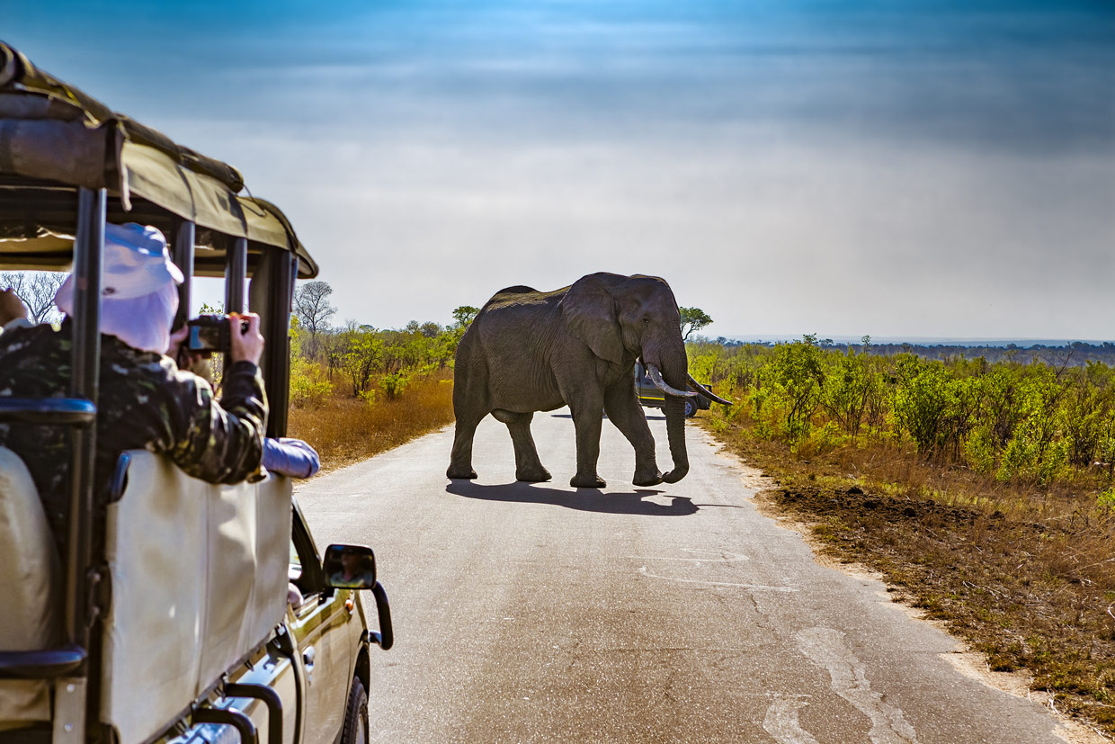 Kruger-National-Park Kruger national park