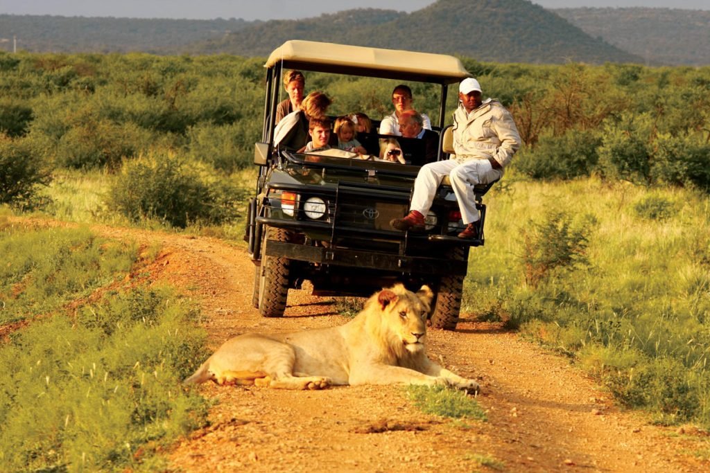 Madikwe Safari
