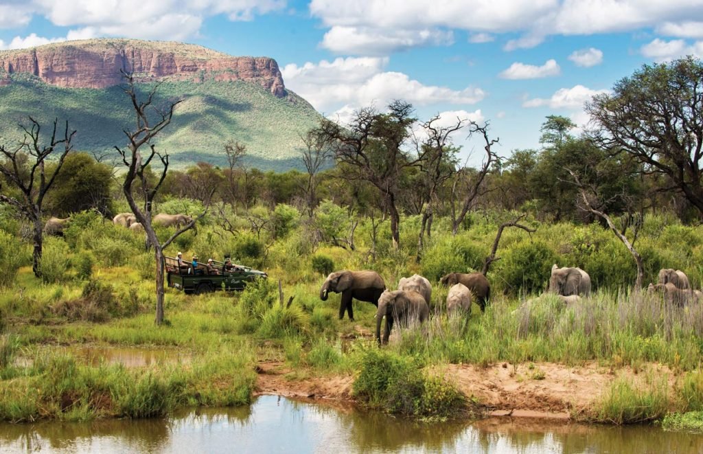 Marakele Reserve