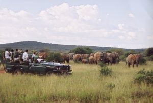 Safari Time in Jeep aperta