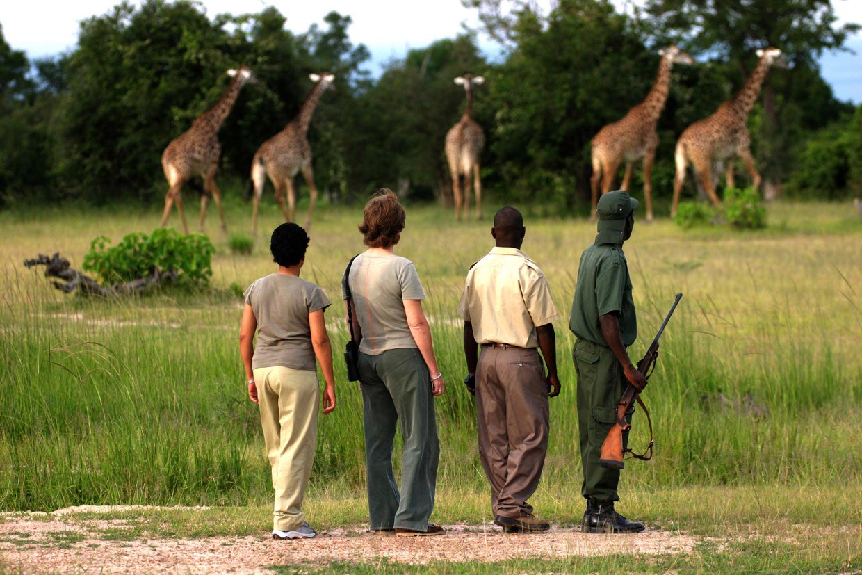 Bush-Walk-Sudafrica Bush Walk