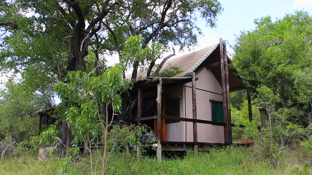 Thornybush-Lussuosa-Tenda-Chapungu Il lussuoso campo tendato di Chapungu