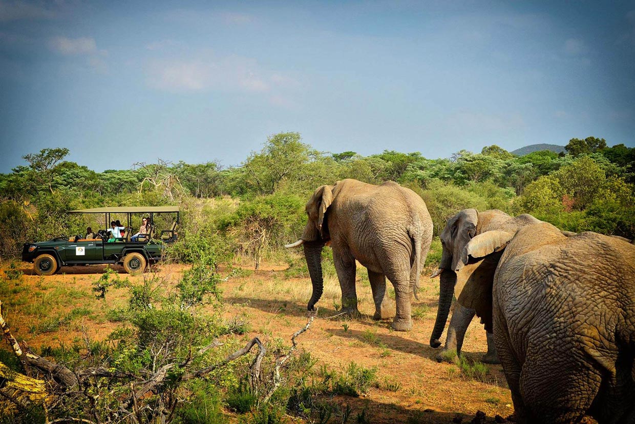 Thornybush-safari-jeep-aperta Safari in Jeep aperta in Thornybush