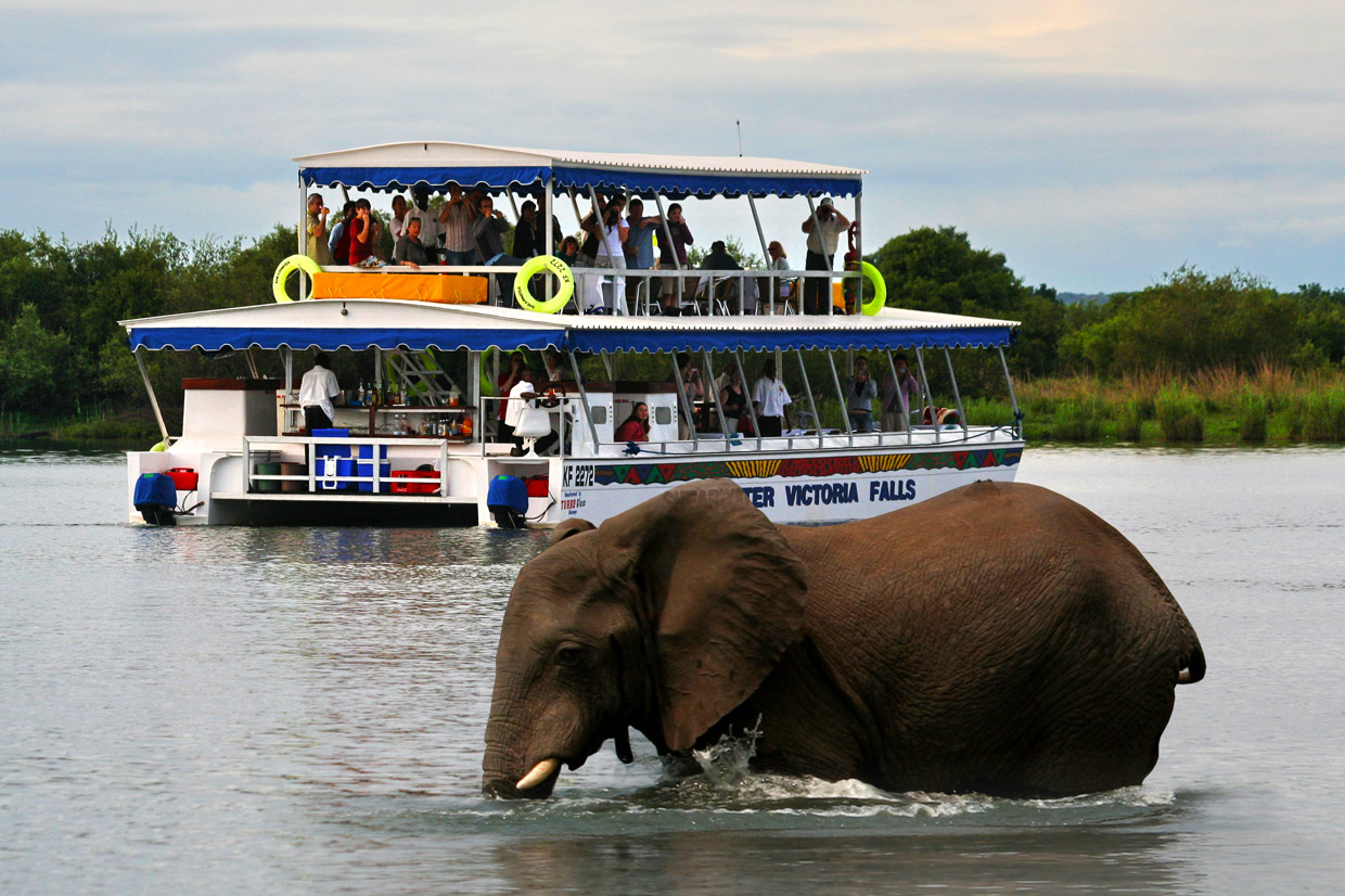Victoria-Falls-Boat-Cruise Victoria Falls Cruise on the Zambesi river
