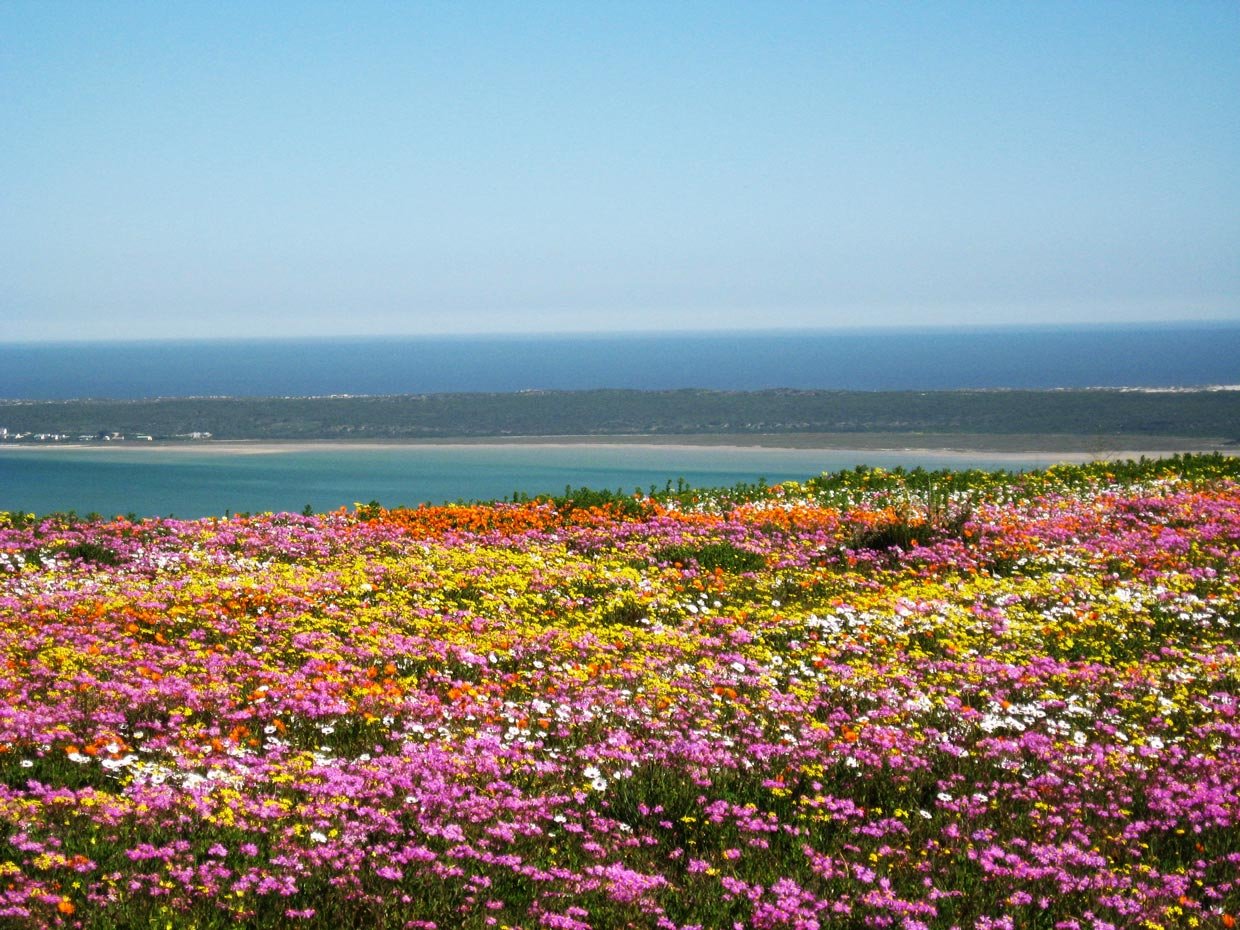 West-Coast-National-Park West Coast