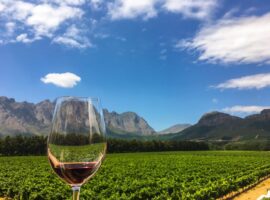 Winelands