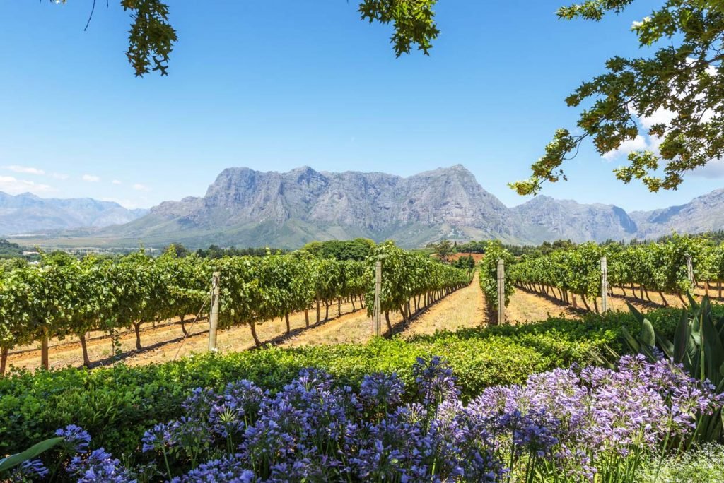 Winelands Cape Town