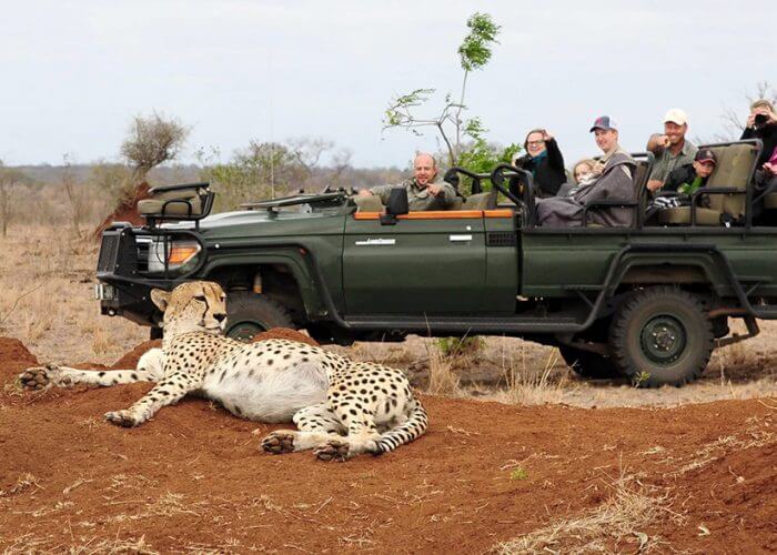 Thornybush Game Reserve