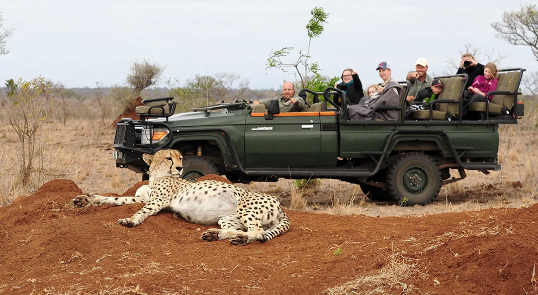 Thornybush Game Reserve