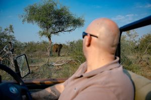 Elephant Game Lodge