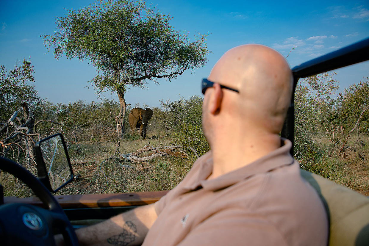 elephant-game-lodge-parsons Elephant Game Lodge