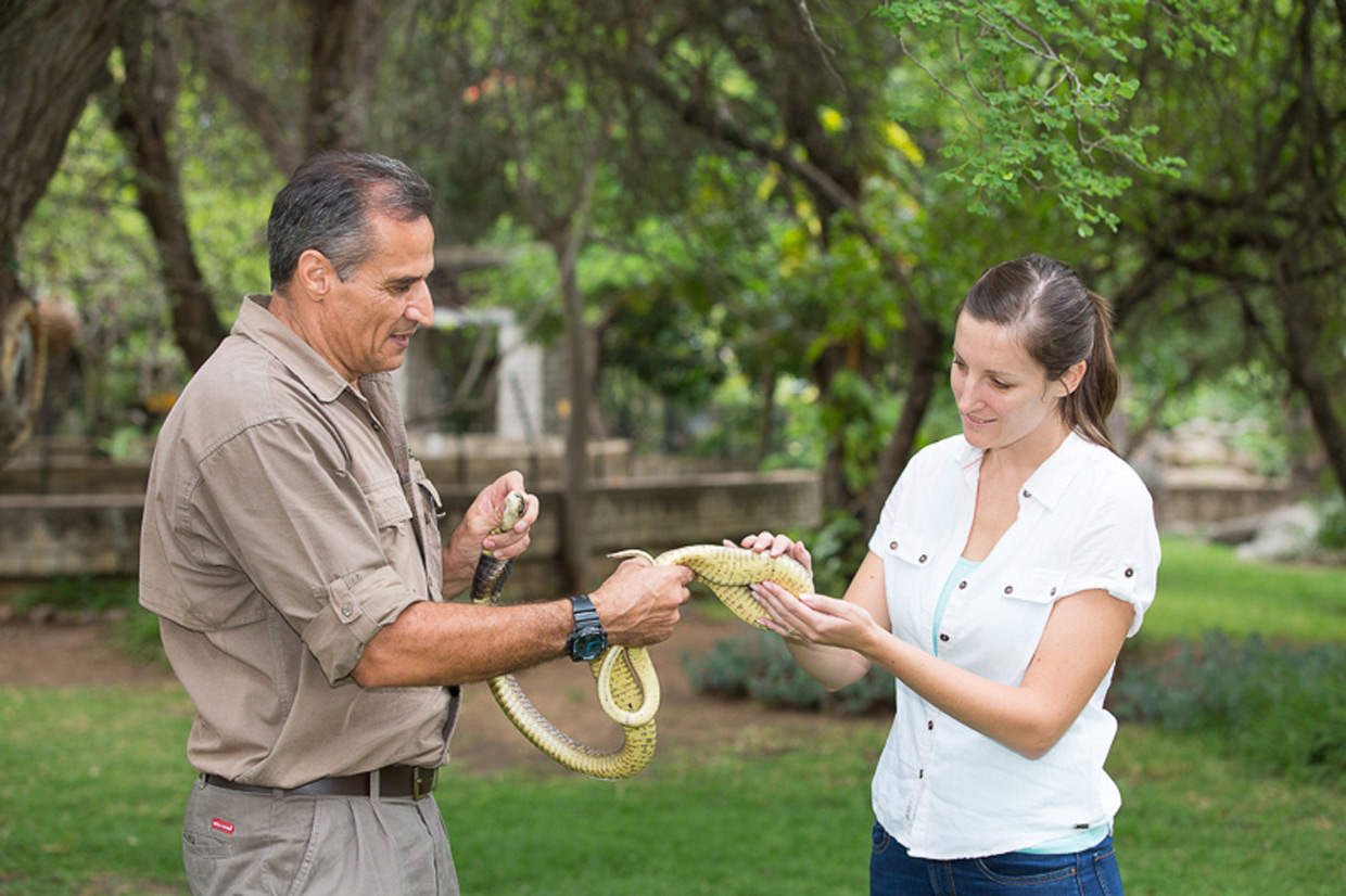 Kinyonga-Reptil-Park Kinyonga Reptil Park