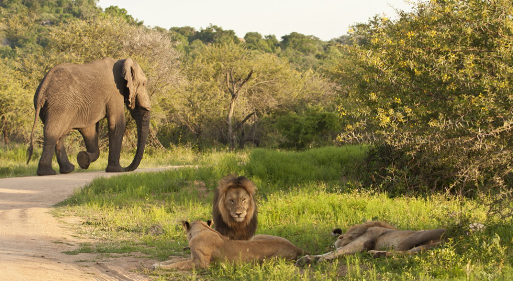 Mashatu Game Reserve
