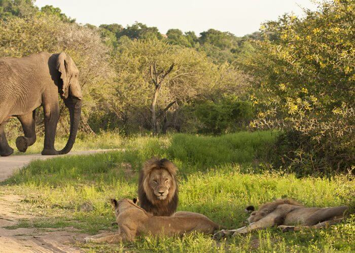 Mashatu Game Reserve