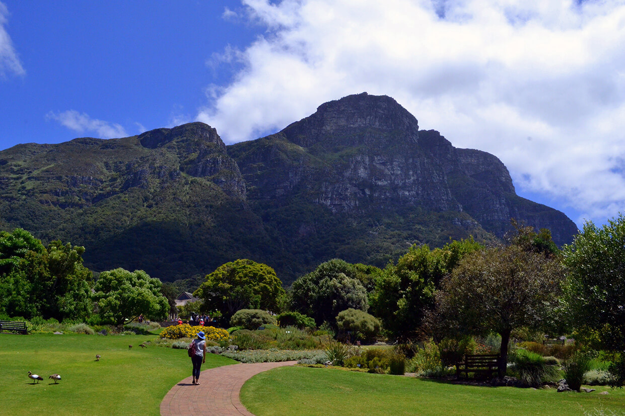 Kirstenbosh-Cape-Town Kirstenbosh Botanicol Garden