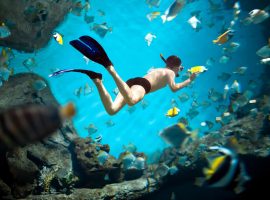 Zanzibar Snorkeling