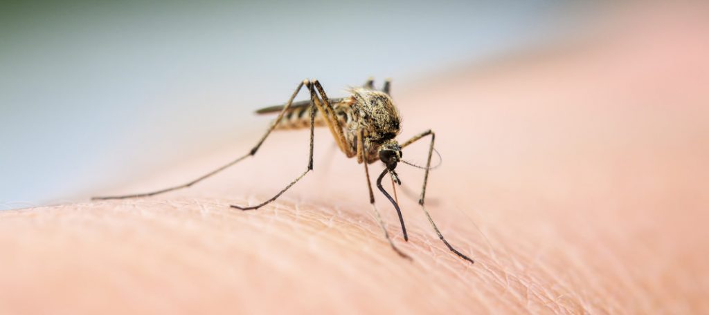 Pericolo Malaria in Sudafrica