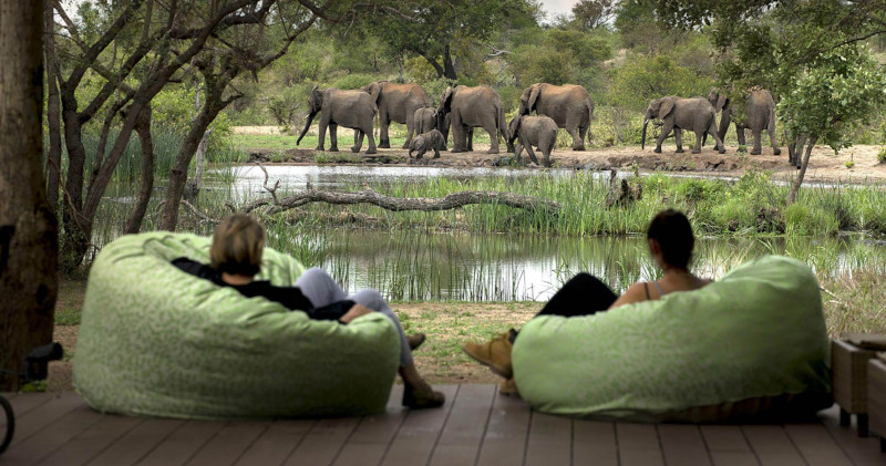 Timbavati Game Reserve