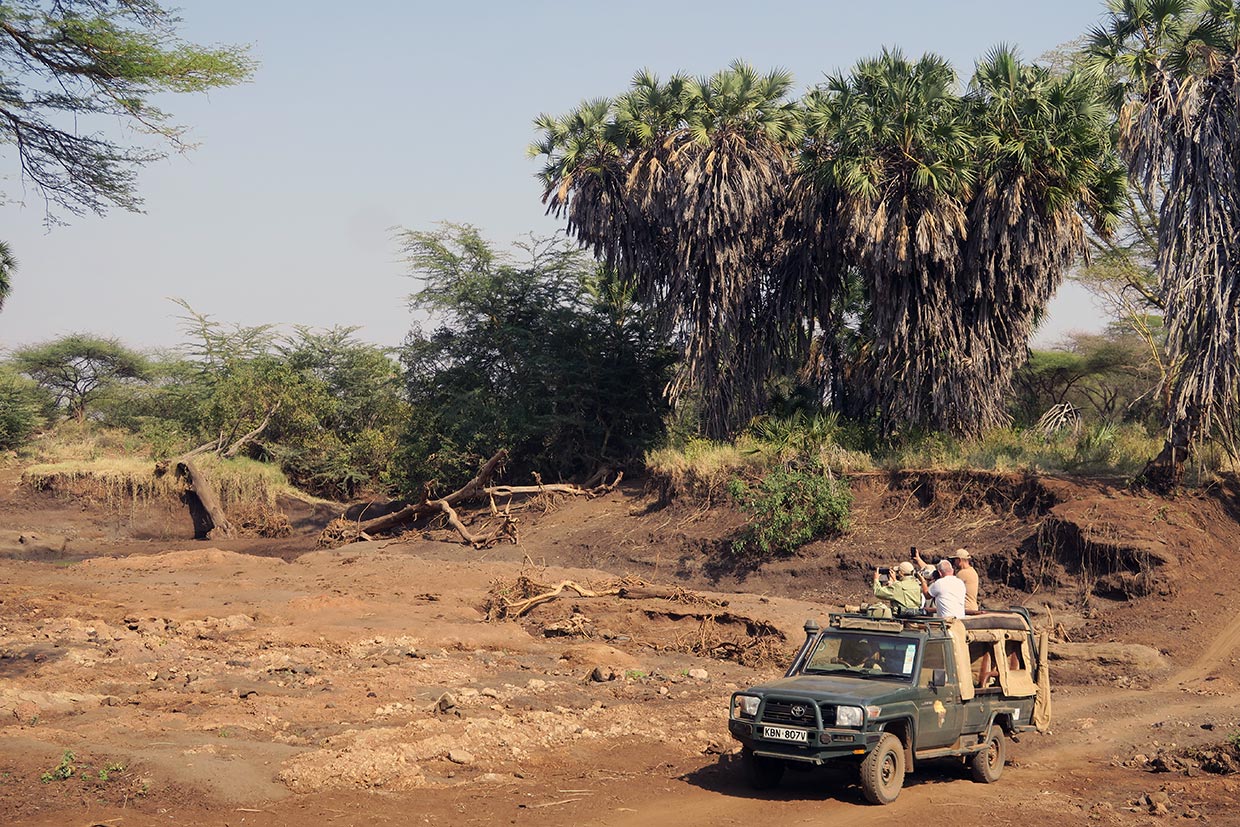 Kenya-Bush-Camp-Safari-Tsavo-West Kenya Safari in comfort