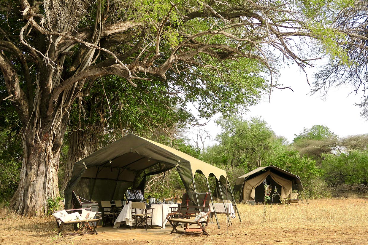 Kenya-Bush-Camp-Safari Kenya in movimento