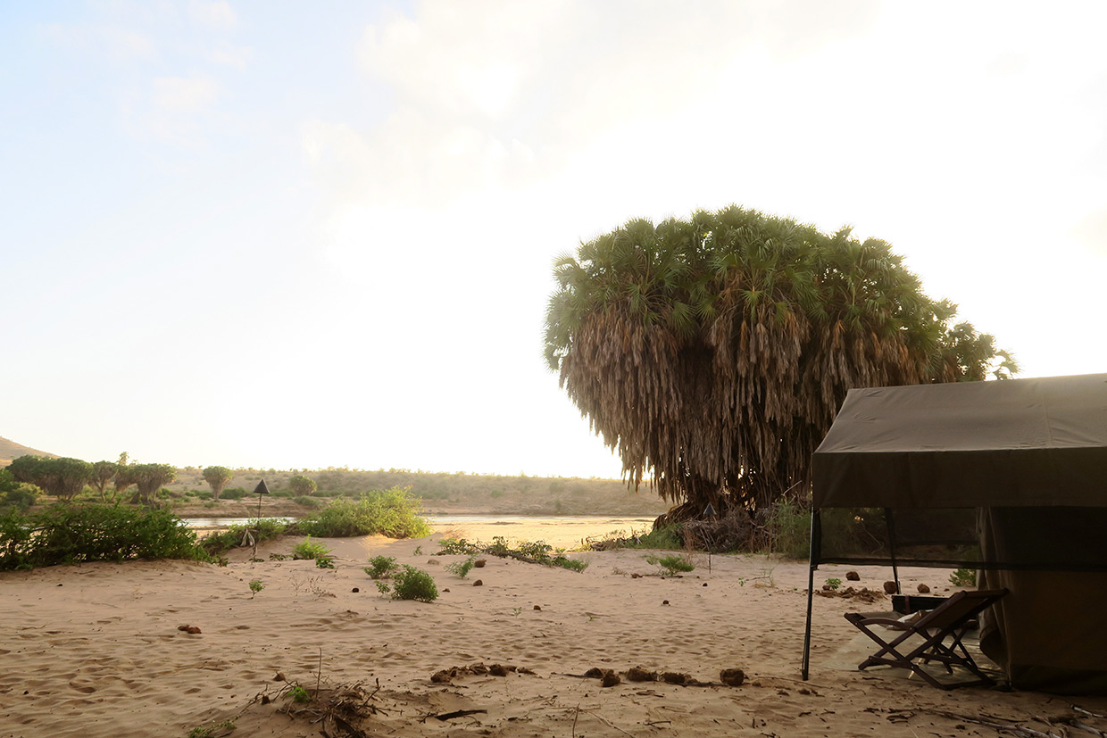 Kenya-Bush-Camp-mobile-nel-bush Kenya panorami unici
