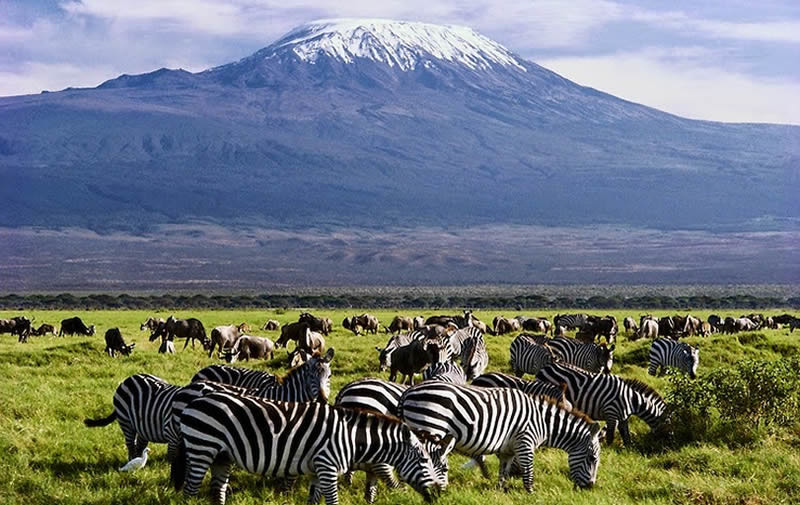 Parco Amboseli in Kenya