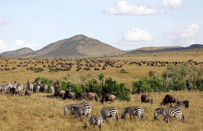 Parco Masai Mara in Kenya