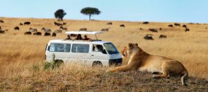 Parchi Safari in Kenya