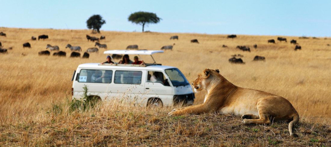Parchi Safari in Kenya