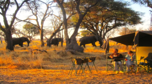 Footprint of Africa Botswana mobile camp