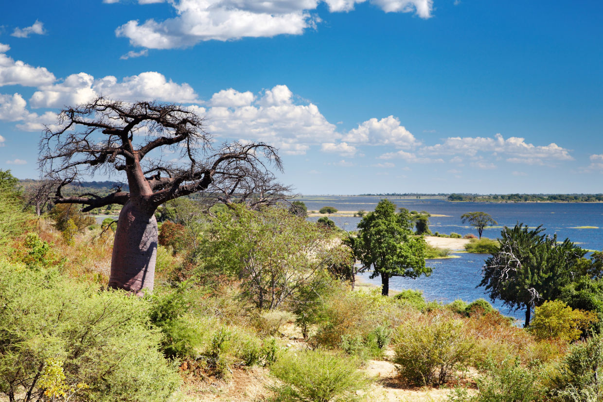 FOOTPRINT OF AFRICA -Botswana Chobe River