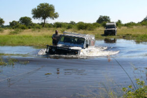 Botswana expedition