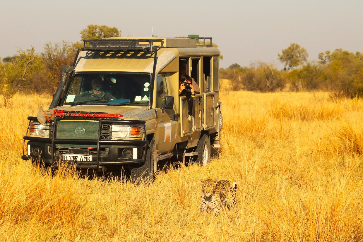 FOOTPRINT OF AFRICA -Botswana safari