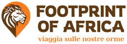 new-LOGO-FOA prova